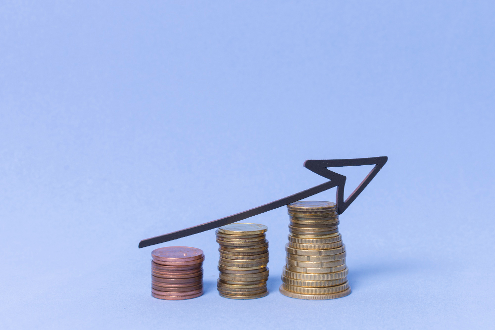 Tipos de Lucro com elevação financeira 